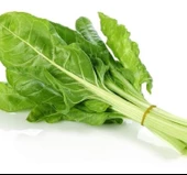 PAZI SARMALIK ( ÇOKLU TOHUM ) - 10 Gram - 1