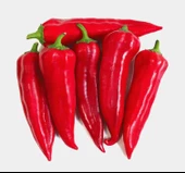 BİBER MARAŞ  ( ÇOKLU TOHUM ) - 5 Gram - 1