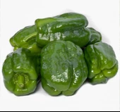 DOLMALIK BİBER ANTEP ACI ( ÇOKLU TOHUM ) - 5 Gram - 1