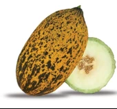 KAVUN KIRKAĞAÇ ( ÇOKLU TOHUM ) - 5 Gram - 1