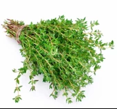 KEKİK ( ÇOKLU TOHUM ) - 3 Gram - 1