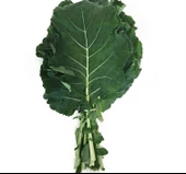 LAHANA KARADENİZ ( ÇOKLU TOHUM ) - 5 Gram - 1