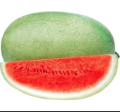 KARPUZ CHR.BEYAZ ( ÇOKLU TOHUM ) - 5 Gram - 1