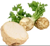 KEREVİZ ( ÇOKLU TOHUM ) - 3 Gram - 1