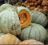 KABAK BAL ( ÇOKLU TOHUM ) - 10 Gram - 2