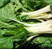 PAZI SARMALIK ( ÇOKLU TOHUM ) - 10 Gram - 2