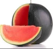 KARPUZ HALEP KARASI ( ÇOKLU TOHUM ) - 10 Gram - 1