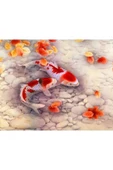 Canvas Japon Balıkları Sayılarla Boyama Seti  Kasnaklı 90 x 110 cm thumbnail 1