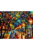 Canvas Renkli Yağmur Sayılarla Boyama Seti  Kasnaklı 50 x 65 cm thumbnail 1