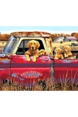 Canvas Yavru Köpekler Kamyonette Sayılarla Boyama Seti Duvar Sticker Rulo thumbnail 1