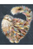 Canvas Şaşkın Kedi Sayılarla Boyama Seti Kasnaklı 90 X 110 Cm - 1