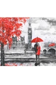 Canvas Sonbahar ve Kırmızı Aşk Sayılarla Boyama Seti  Kasnaklı 60 x 75 cm - 1