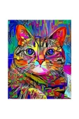 Canvas Renkli Kedi 2 Sayılarla Boyama Seti  Kasnaklı 90 x 110 cm - 1