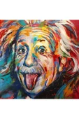 Canvas Albert Einstein Sayılarla Boyama Seti  Kasnaklı 70 x 90 cm - 1
