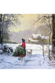 Canvas Kış Manzarası Sayılarla Boyama Seti  Rulo thumbnail 1