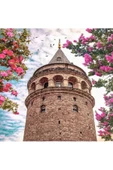 Canvas Galata Rüyasi Sayılarla Boyama Seti Rulo 90 X 110 Cm thumbnail 1