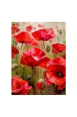 Canvas Gelincik Tarlası Sayılarla Boyama Seti  Kasnaklı 90 x 110 cm - 1