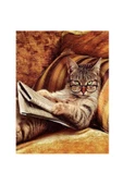 Canvas Keyfekeder Kedi Sayılarla Boyama Seti  Kasnaklı 40 x 50 cm - 1