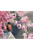Canvas Bahar ve Kuşlar 2 Sayılarla Boyama Seti  Kasnaklı 50 x 65 cm - 1