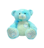 Burnu Yıldızlı Ayı Peluş 35 Cm (Mavi) - 1