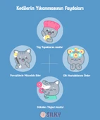 SilkyPetWash - Köpeklere Özel Çilek Özlü Kuru Köpük Şampuan - 200ml - 5