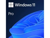 Windows 11 Pro FQC-10556 TR İşletim Sistemi - 1