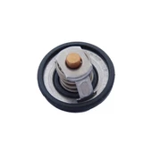 Focus Termostat (1998-2019) 1.6 ZETEC, 1.4 L DURATEC, 1.6 TDCI DURATORG, 1.6 L DURATEC Tİ-VCT  4M5G8575ZB - 1