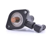 Peugeot Boxer Termostat (1995-2002) 2.5 133846 - 2