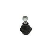 Transit Rotil 01-19 Yc1a3395ba - 1