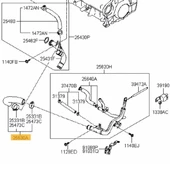 Hyundai Santa Fe Hortum Sogutucu Yağ (2006-2010) 2.2 CRDI 2563027000 - 1