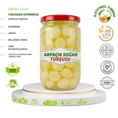 NATUREL ARPAÇIK SOĞAN TURŞUSU - 1
