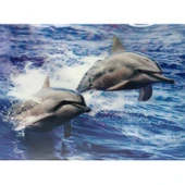 5D Elmas Boyama Sevimli Yunuslar İkili Yunus Resmi Tablosu 30x40 cm - 1