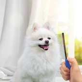 Kıtık Açıcı Metal Kedi Köpek Tarağı thumbnail 2