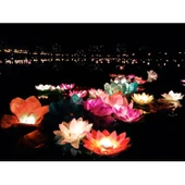 Nilüfer Su Feneri - 1