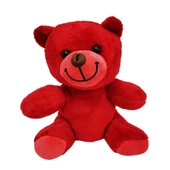 Öğretmenler Günü Hediyesi Peluş Ayıcık - 8