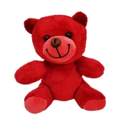 Öğretmenler Günü Hediyesi Peluş Ayıcık thumbnail 3