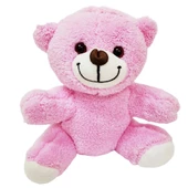 Öğretmenler Günü Hediyesi Peluş Ayıcık thumbnail 2