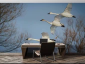 Leylek Göç Manzaralı Duvar Kağıdı thumbnail 4