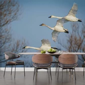 Leylek Göç Manzaralı Duvar Kağıdı thumbnail 5