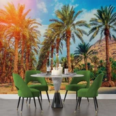 Hindistan Cevizi Ağaç Manzaralı Duvar Kağıdı thumbnail 5