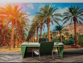 Hindistan Cevizi Ağaç Manzaralı Duvar Kağıdı thumbnail 4