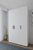 Niro 3 Kapaklı Gardrop,  Askılı ve Raflı, 120 cm - 1