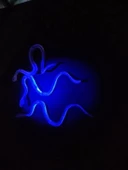 Şaka Yılan Ve Kırkayak Karışık 36 Adet thumbnail 5