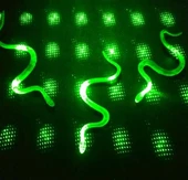 Şaka Yılan Ve Kırkayak Karışık 36 Adet thumbnail 1