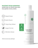 Sante Plus Dökülme ve İncelme Karşıtı Kara Sarımsak Özlü Şampuan 400 ML - 2