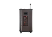 Platoon PL-4608 RGB Işıklı USB/TF/FM/BT/TWS Kablosuz Mikrofonlu Öğretmen/Toplantı Anfisi (NDR-515) - 4