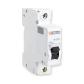 Günsan Elektrik Monofaze 1X32A B Tipi Otomatik Sigorta 6ka Gün-Os3 B160-32 - 1