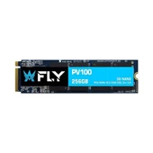 FLY PCIe M2 256 GB PV100 NVMe 3D 3300/3100 2Y - 1