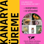 FEROXİT  KANARYA Kızıştırıcı ve Üreme Arttırıcı Karışım - 1