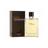 Hermes Terre D Hermes Edt 100 Ml - 1
